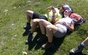 Alpenhof Genusstour....