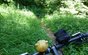 There`s a new Trail in town, bis bald Euer Helge