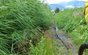 Chinatrail....
