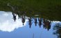 Reflections